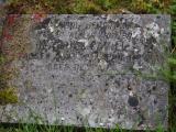image of grave number 919856